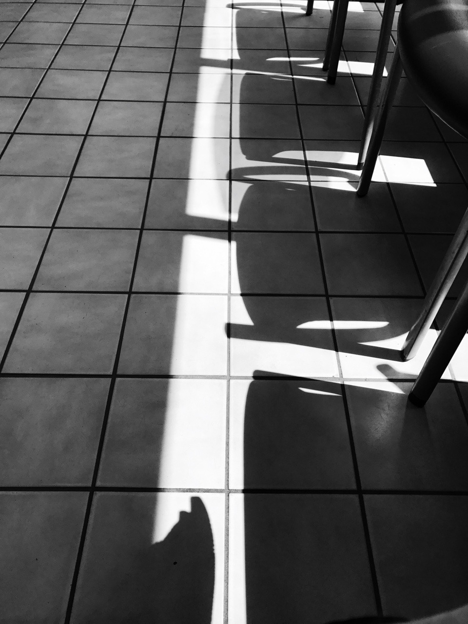 tumblr_opefvvnrfs1ro04efo1_1280