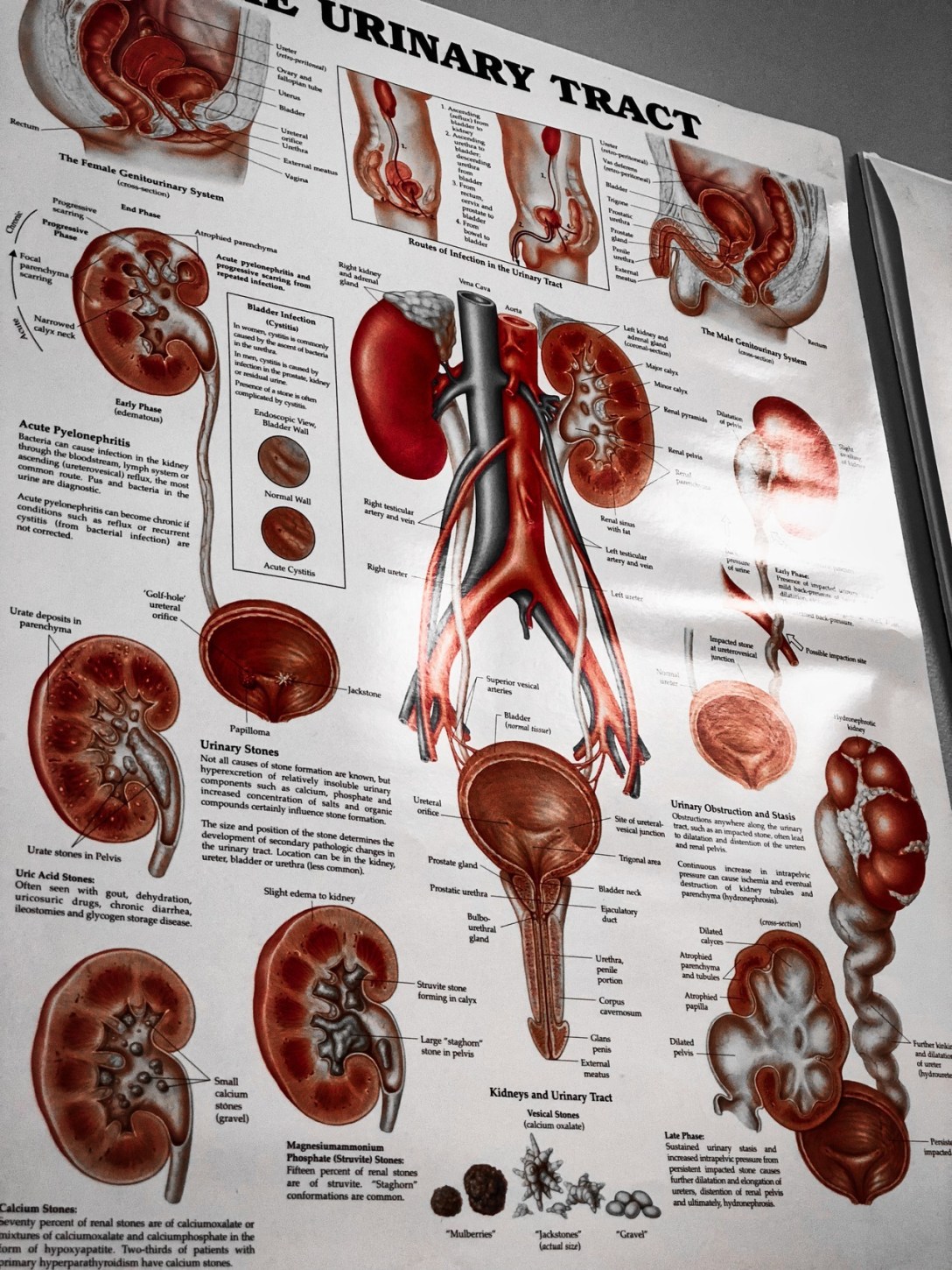 tumblr_p7eyacAIVy1ro04efo1_1280